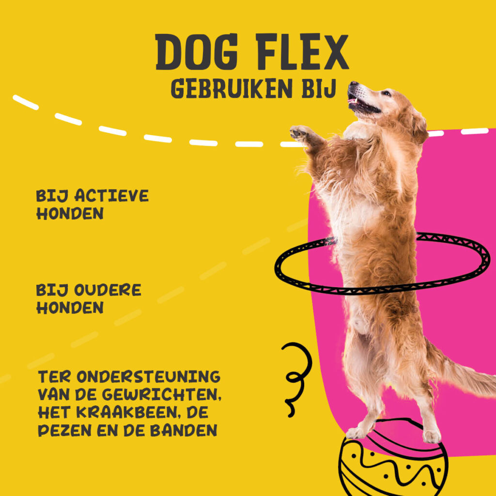 Excellent Pets Dog Flex 250 ml - Vloeibaar Supplement voor Honden - afbeelding 6