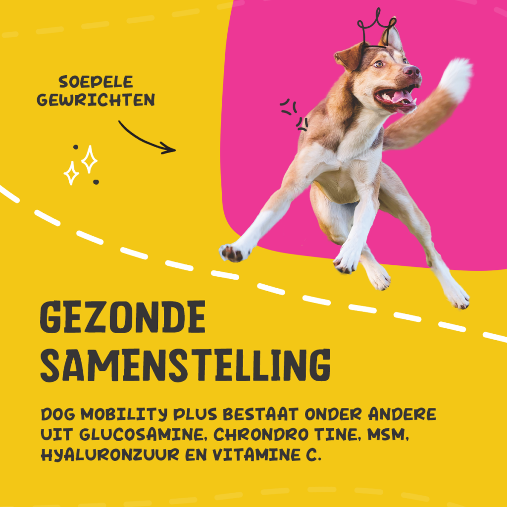 Excellent Pets Dog Mobility+ 100 g - Supplement voor Honden - afbeelding 5