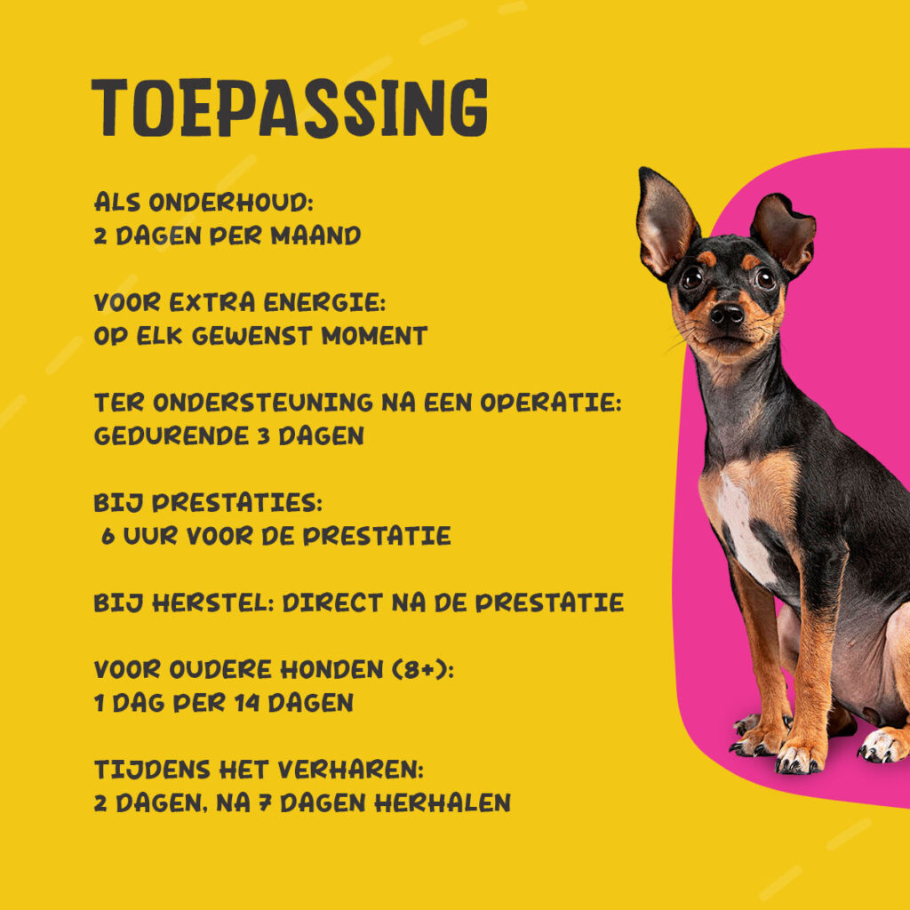 Excellent Pets Vital Total 50 ml - Vloeibaar aanvullend diervoeder voor honden - afbeelding 3