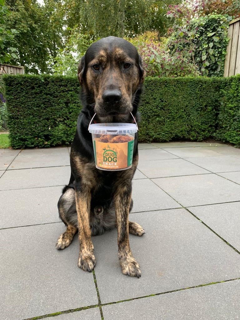 Duo Dog Honden Snacks - 100% Paardenvet, 350 g - afbeelding 2