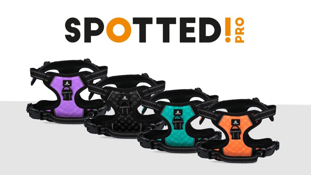 Spotted! Pro No Pull Harnas Paars XS - Comfortabel en Veilig - afbeelding 2