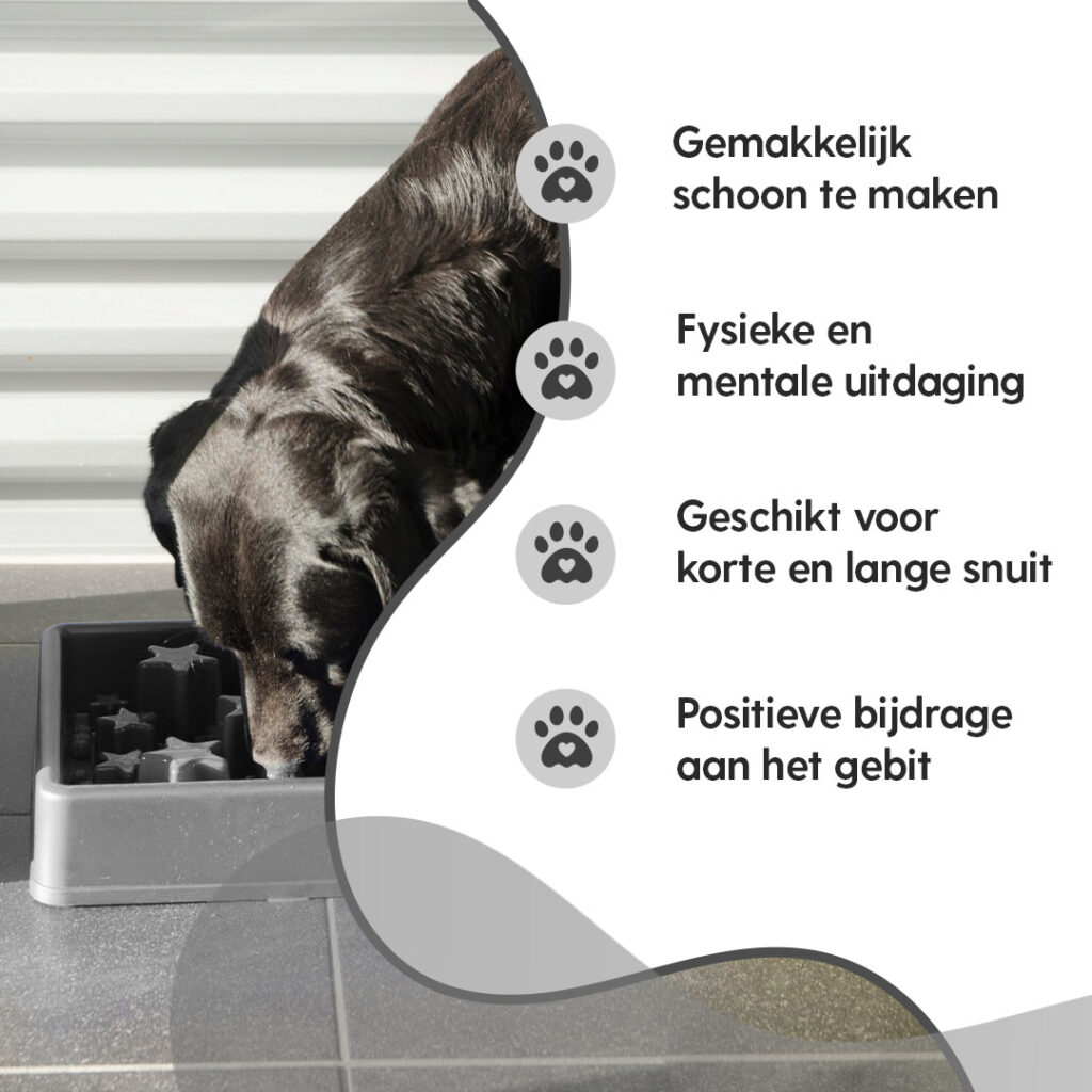 Eat Slow Live Longer Star Grijs XS - Anti-schrok voerbak voor honden en katten - afbeelding 4