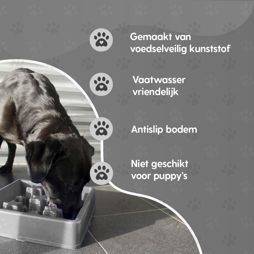 Eat Slow Live Longer Star Grijs XS - Anti-schrok voerbak voor honden en katten - afbeelding 5