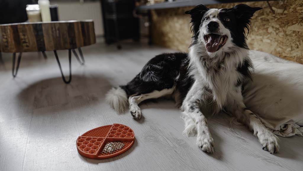 Eat Slow Live Longer Lick Mat Rood 21 cm - Ronde Likmat voor Honden en Katten - afbeelding 5