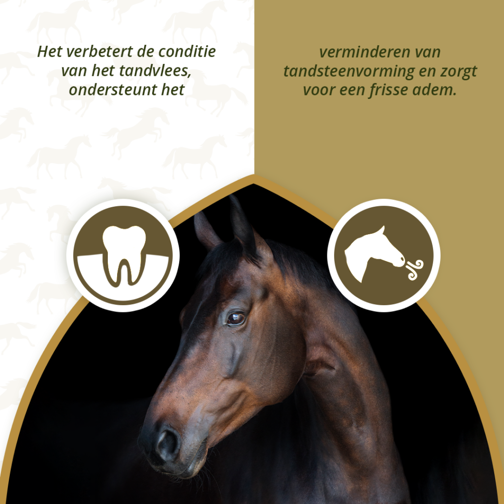 Excellent Horse Dental Care 1 kg - Supplement voor een gezond gebit - afbeelding 3