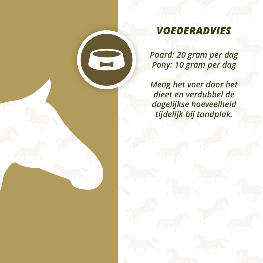 Excellent Horse Dental Care 1 kg - Supplement voor een gezond gebit - afbeelding 4