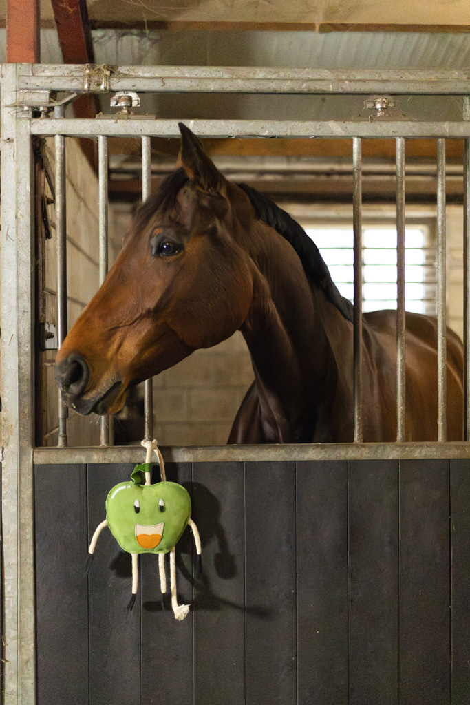 Excellent Horse Foodie Friends Apple - Paardenspeelgoed tegen Stalverveling - afbeelding 3