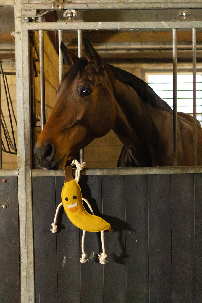 Excellent Horse Foodie Friends Banana - Paardenspeelgoed tegen Verveling - afbeelding 3