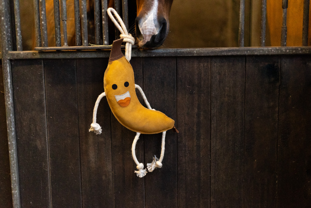 Excellent Horse Foodie Friends Banana - Paardenspeelgoed tegen Verveling - afbeelding 4