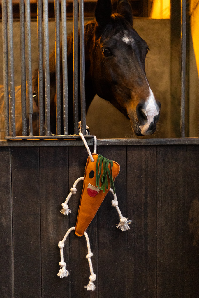 Excellent Horse Foodie Friends Carrot - Paardenspeelgoed tegen verveling - afbeelding 3