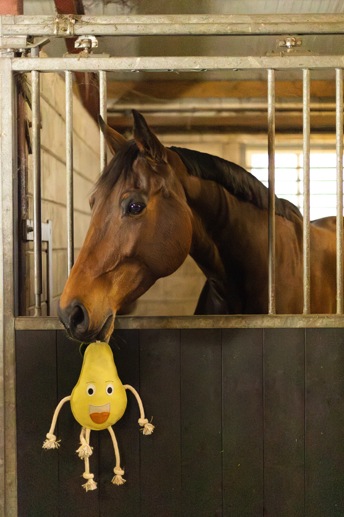 Excellent Horse Foodie Friends Pear - Paardenspeelgoed tegen Verveling - afbeelding 4