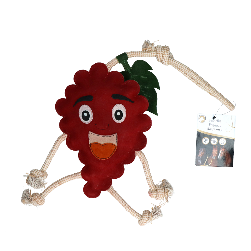 Excellent Horse Foodie Friends Raspberry - Paardenspeelgoed tegen verveling - afbeelding 1