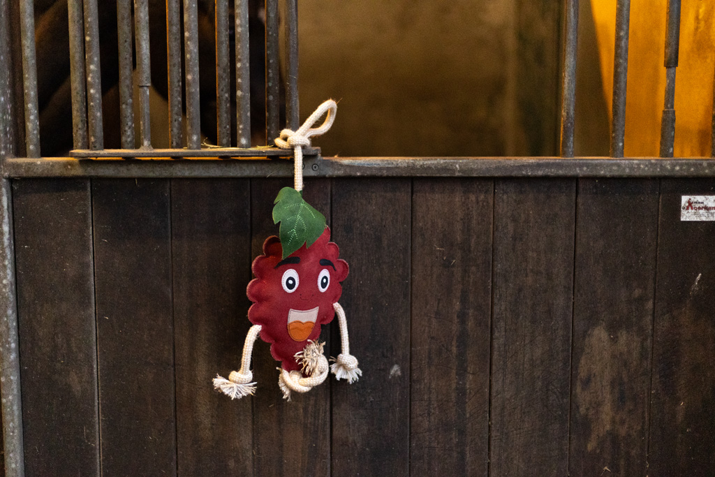Excellent Horse Foodie Friends Raspberry - Paardenspeelgoed tegen verveling - afbeelding 3
