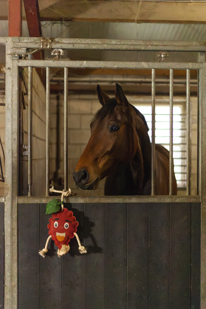 Excellent Horse Foodie Friends Raspberry - Paardenspeelgoed tegen verveling - afbeelding 4