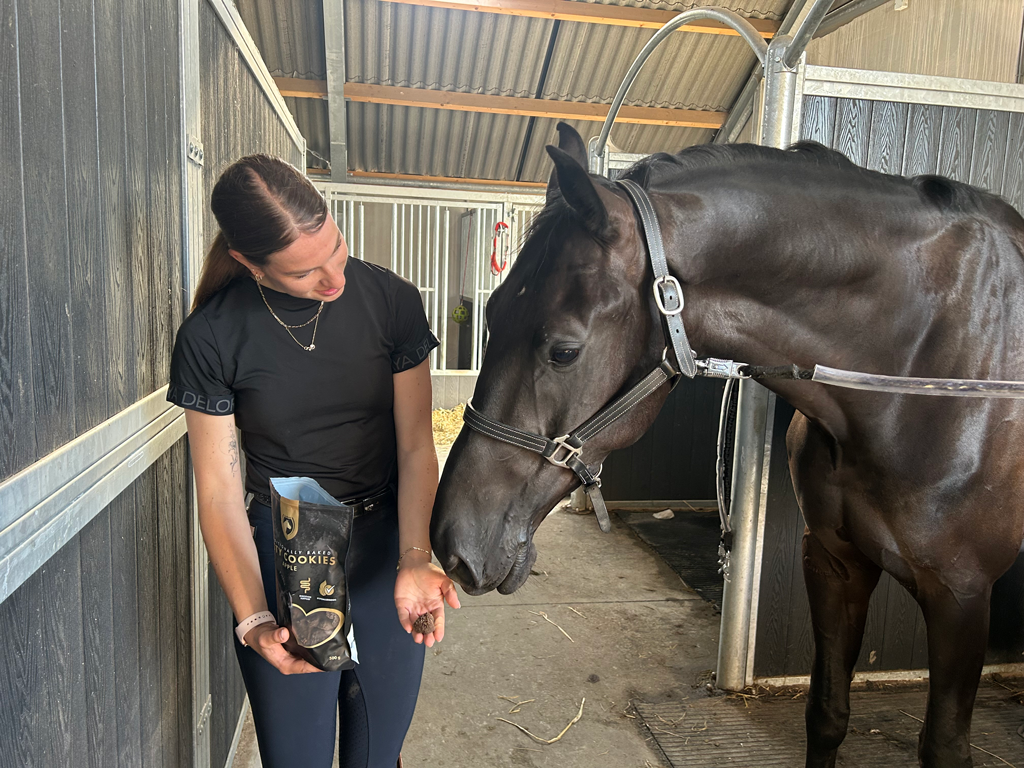 Excellent Horse Ambachtelijke Paardenkoekjes Appel 500 g - afbeelding 4