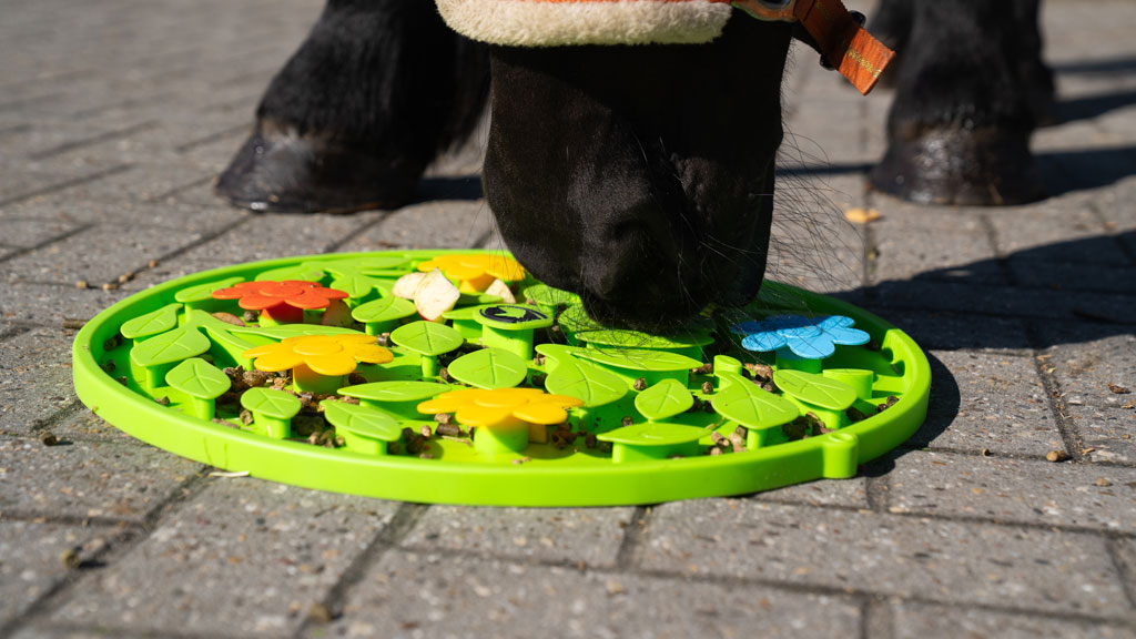Excellent Horse Snuffle Mat Flower Power - Voermat voor Paarden - afbeelding 4