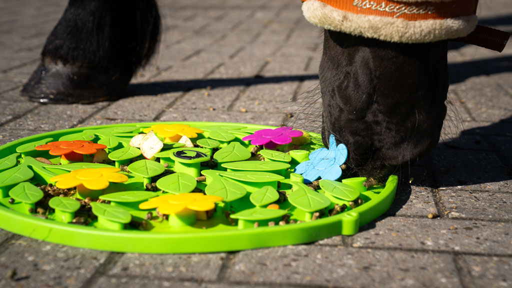 Excellent Horse Snuffle Mat Flower Power - Voermat voor Paarden - afbeelding 3