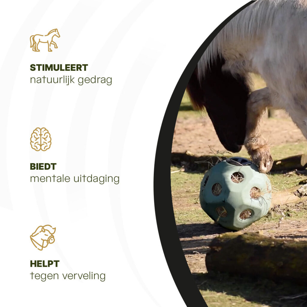 Excellent Horse Feed & Play Ball Groen - Slow Feeder Bal voor Paarden - afbeelding 6