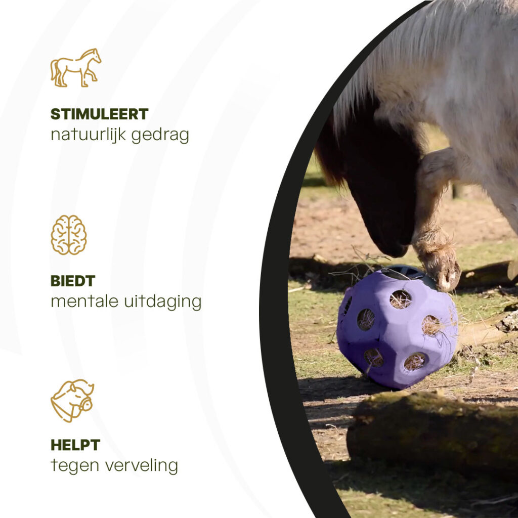 Excellent Horse Feed & Play Ball Paars - Slow Feeder Bal voor Paarden - afbeelding 6