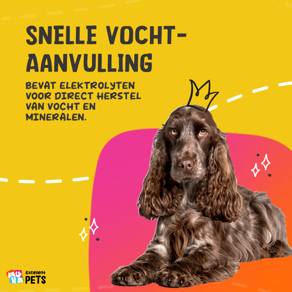 Excellent Pets Digestive Support Paste 30ml - Ondersteuning bij diarree - afbeelding 5