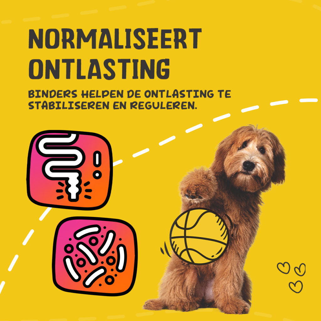 Excellent Pets Digestive Support Paste 30ml - Ondersteuning bij diarree - afbeelding 6