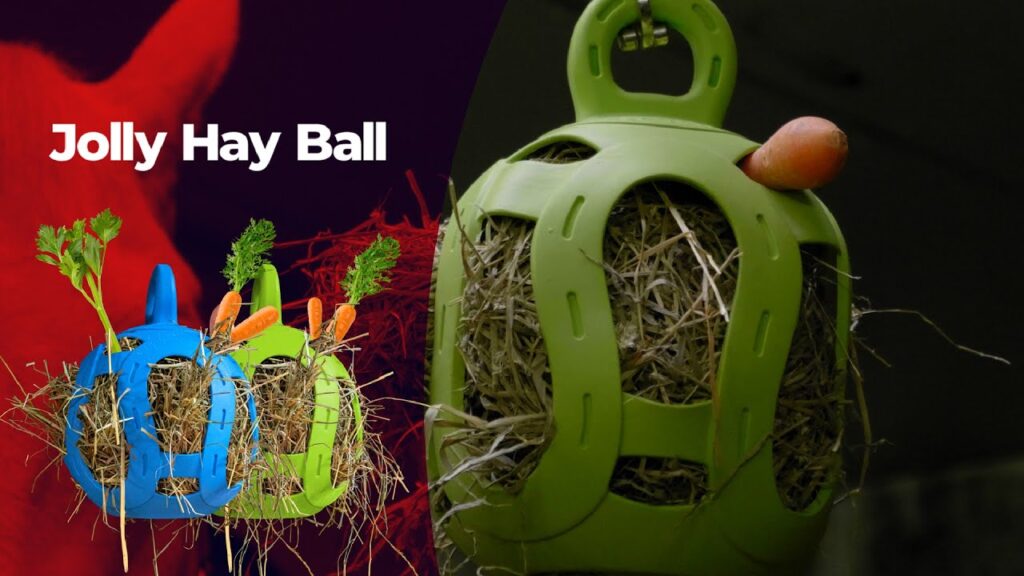 Jolly Hay Ball Groen - Interactieve traktatiebal voor paarden - afbeelding 3