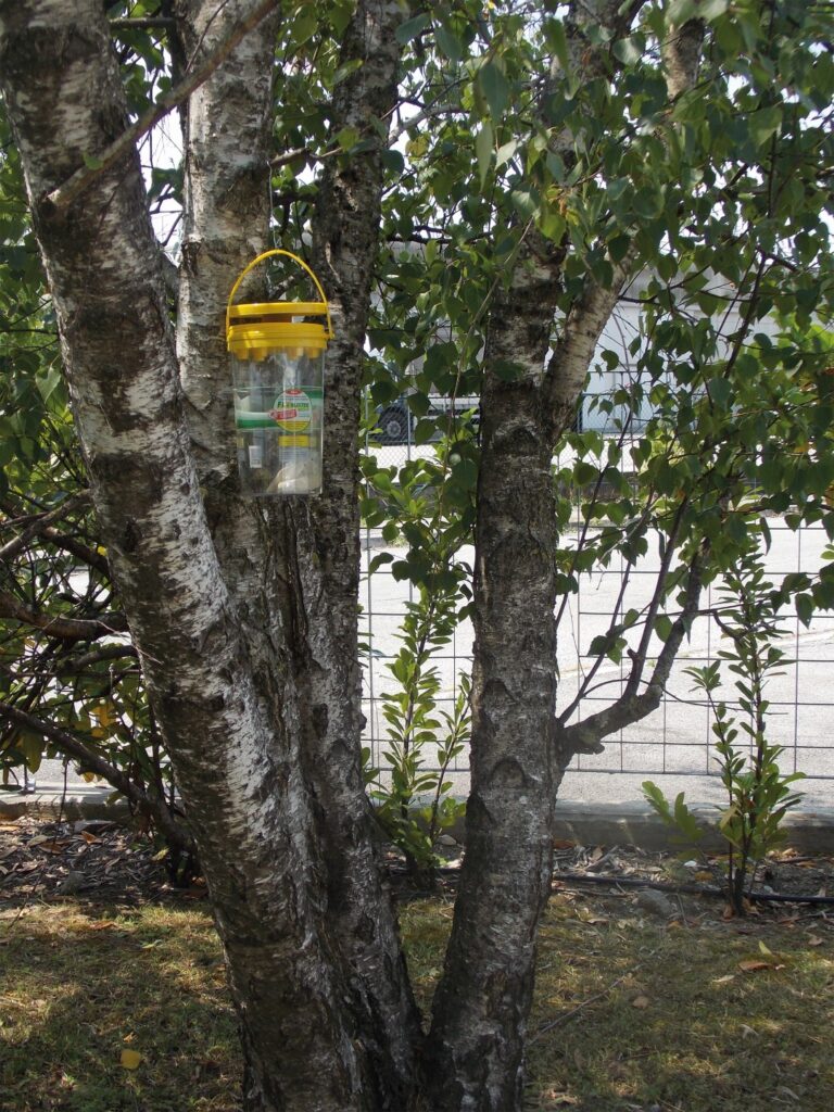Flybuster Garden Trap - Vliegenval met 40 gram biologische lokstof - afbeelding 5