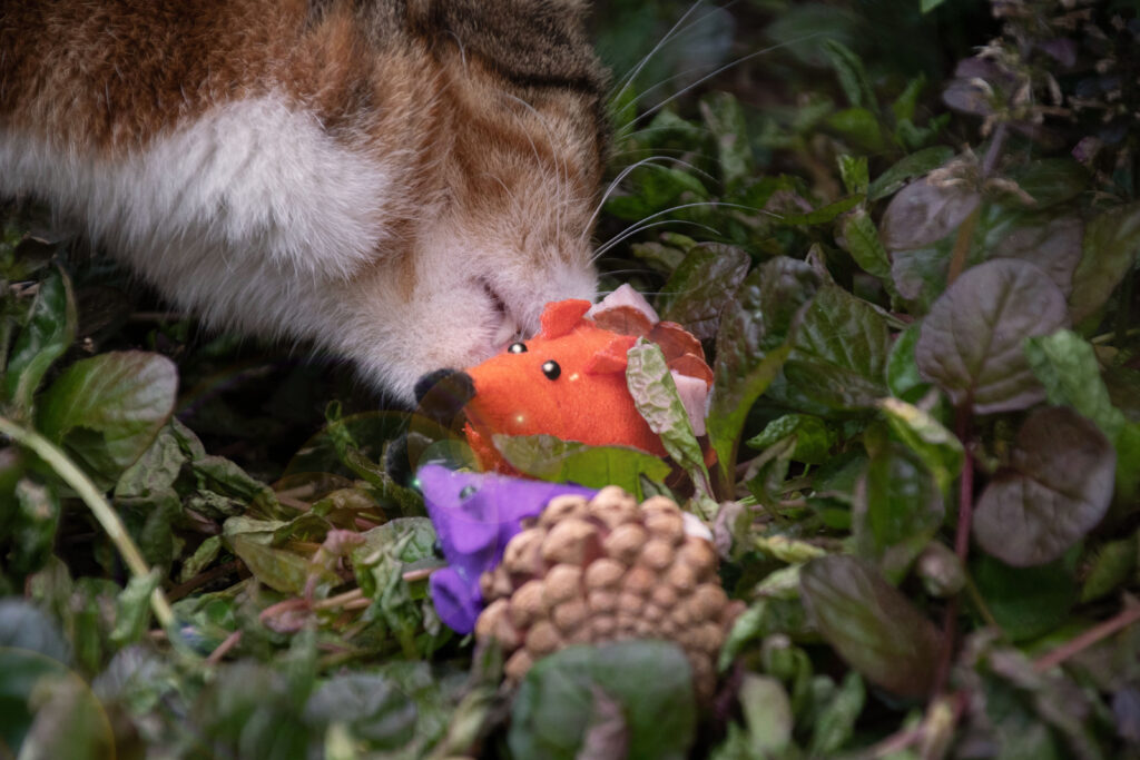 Forest Friends Mouse Oranje - Speelgoed voor Katten van Dennenappel en Vilt - afbeelding 3