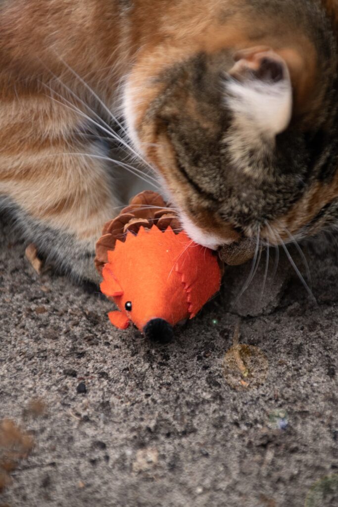 Forest Friends Mouse Oranje - Speelgoed voor Katten van Dennenappel en Vilt - afbeelding 4