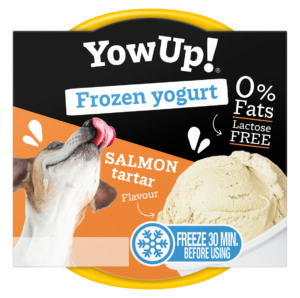 YowUp! Frozen Yoghurt Salmon Tartar 110g