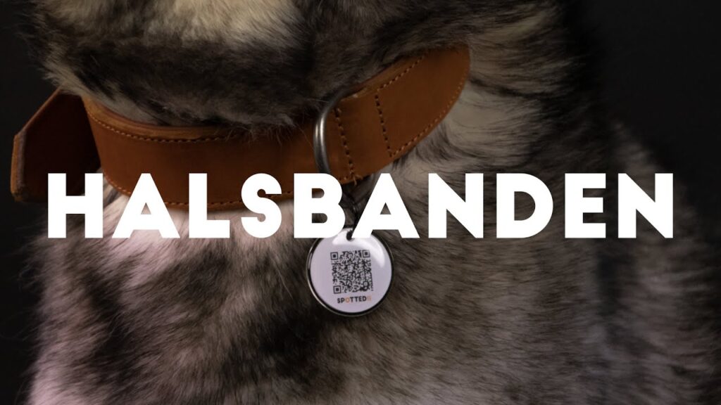 Spotted! Pro Leren Halsband Cognac 3 x 60 cm - Comfortabel en Duurzaam - afbeelding 2