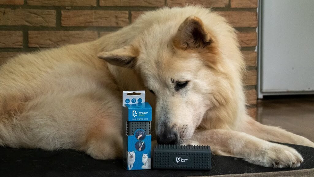 Proper Pets Haarverwijderaar - Eenvoudig Haren Verwijderen - afbeelding 2