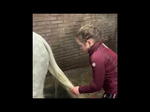 Lucky Horse Unicorn Magic Gel 100 ml - Ontklitter voor Paarden en Pony's - afbeelding 2