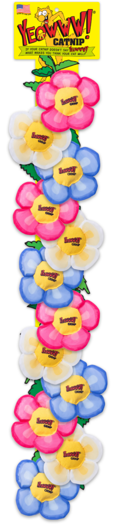 Yeowww! Display Strip Daisy's Flower Top 12 st. - afbeelding 1
