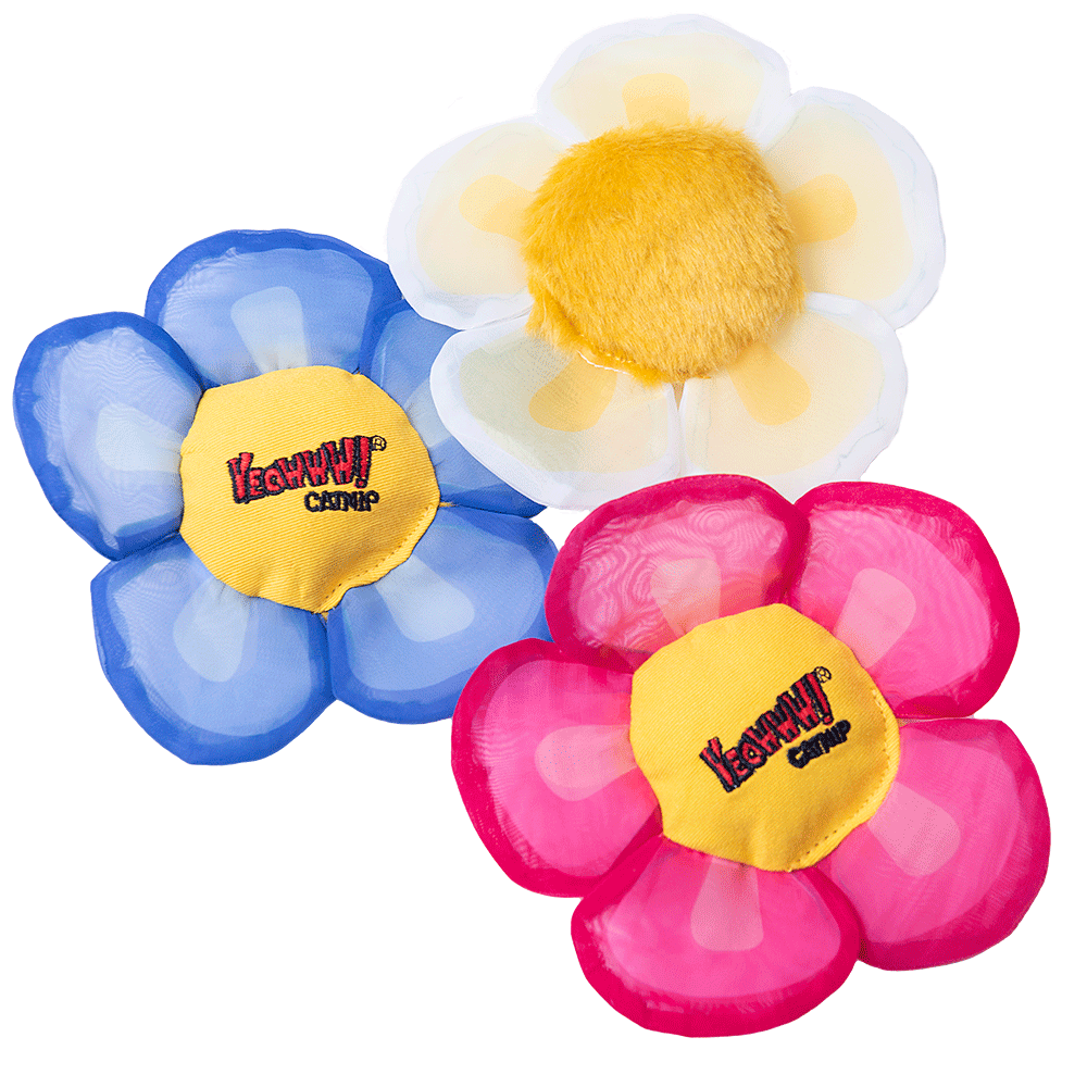 Yeowww! Display Strip Daisy's Flower Top 12 st. - afbeelding 2