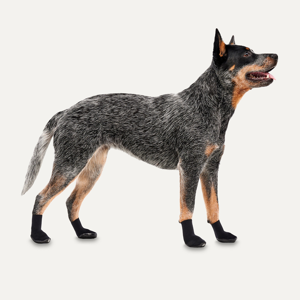Goo-eez Dog Boots Lites 4 Per Pack XS Zwart - afbeelding 2