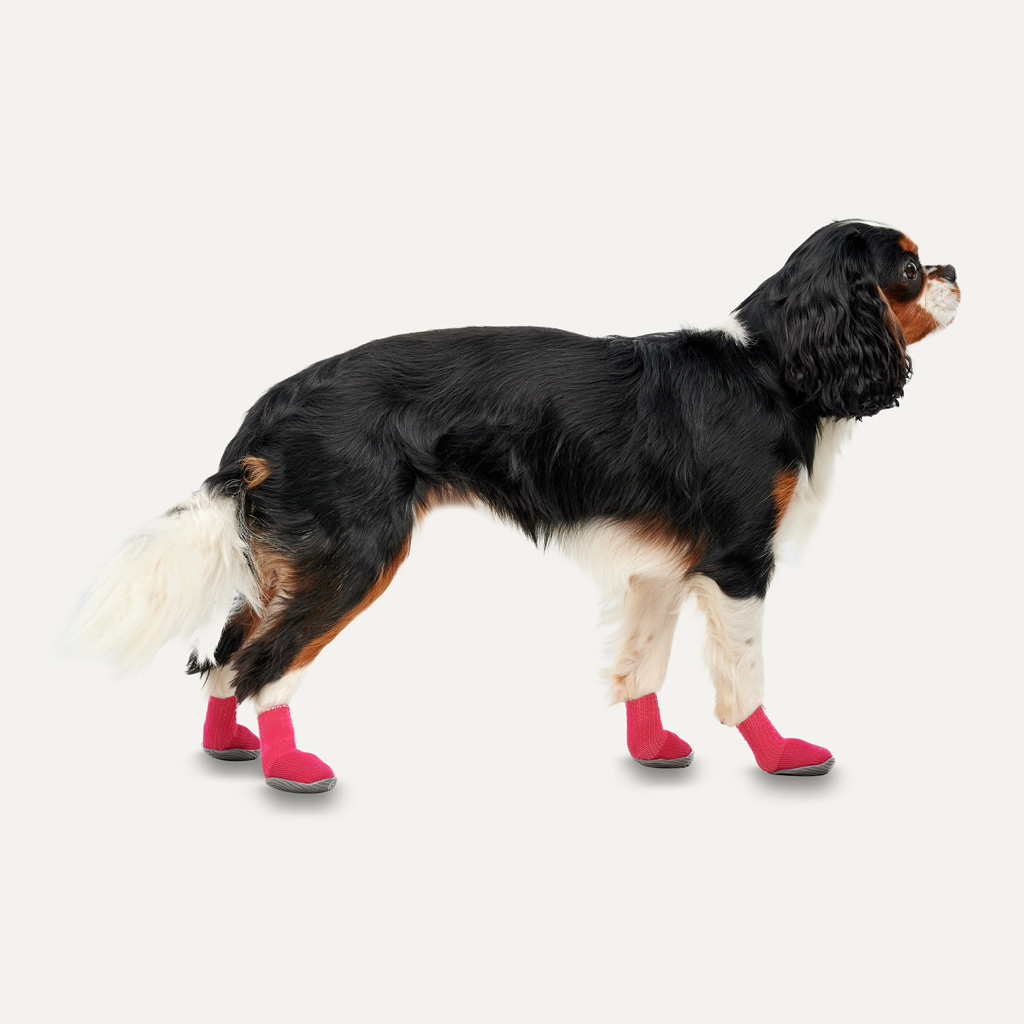 Goo-eez Dog Boots Lites 4 Per Pack XXL Rood/Zwart - afbeelding 2