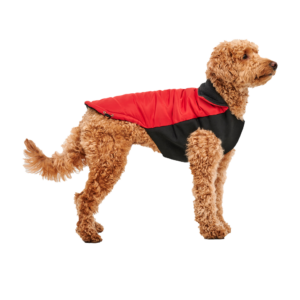 Goo-eez Mock Neck Signature Wrap Jacket M Rood/Zwart - Hondenjas