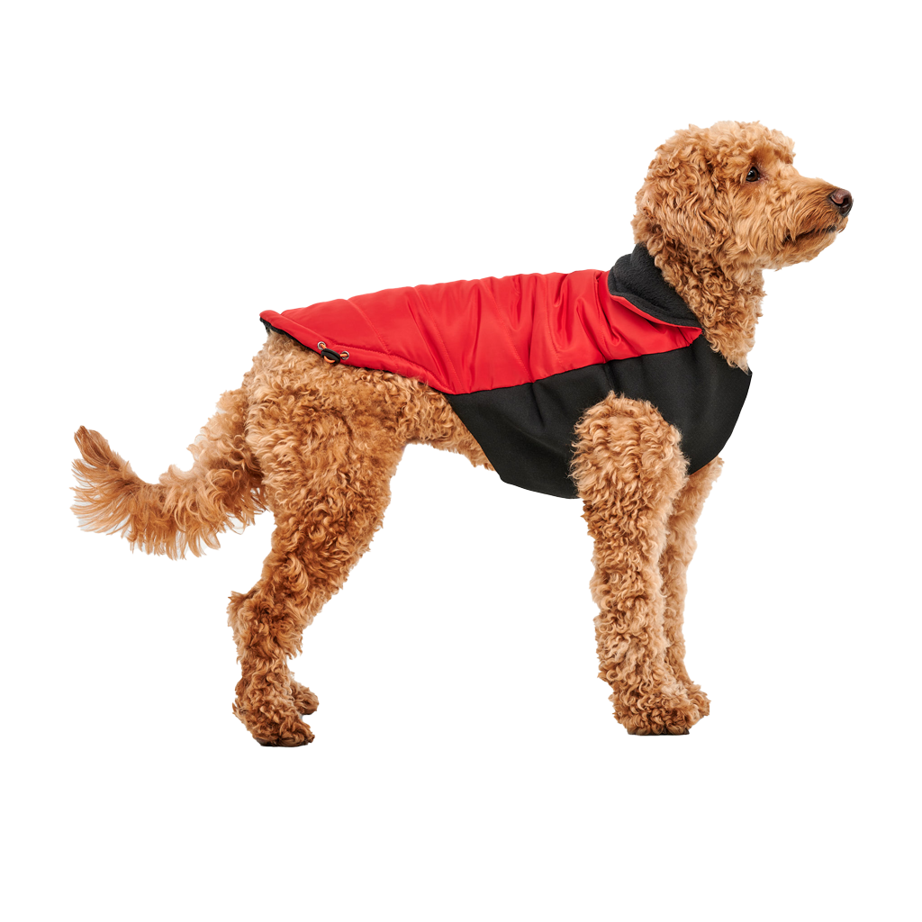 Goo-eez Mock Neck Signature Wrap Jacket XL Rood/Zwart - afbeelding 1