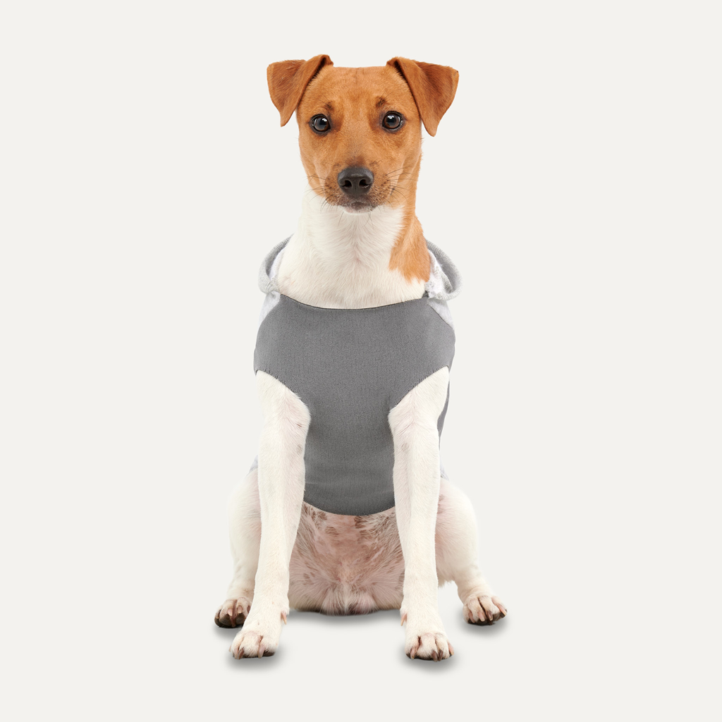 Goo-eez Kangaroo Fleece Hoodie XXS Grijs voor Honden - afbeelding 3