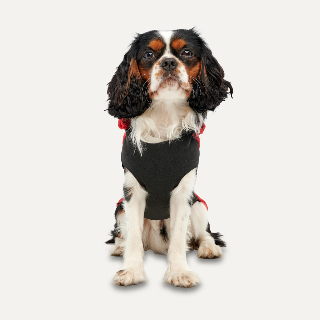 Goo-eez Kangaroo Fleece Hoodie L Rood/Zwart voor Honden - afbeelding 2