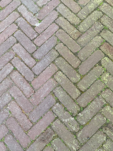 Excellent Green Clear Concentraat 5 l - Milieuvriendelijk Reinigen - afbeelding 2