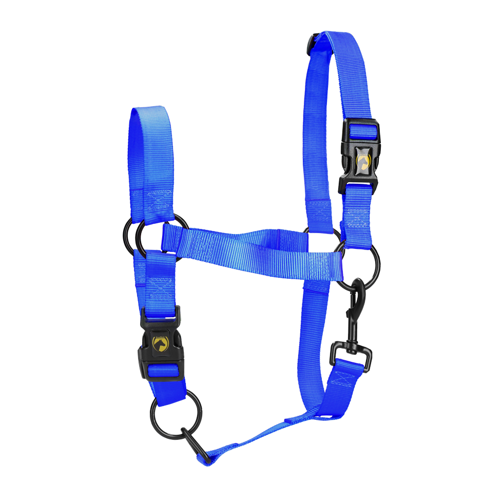 Excellent Essential Halster Blauw XS - Makkelijk verstelbaar en duurzaam - afbeelding 1