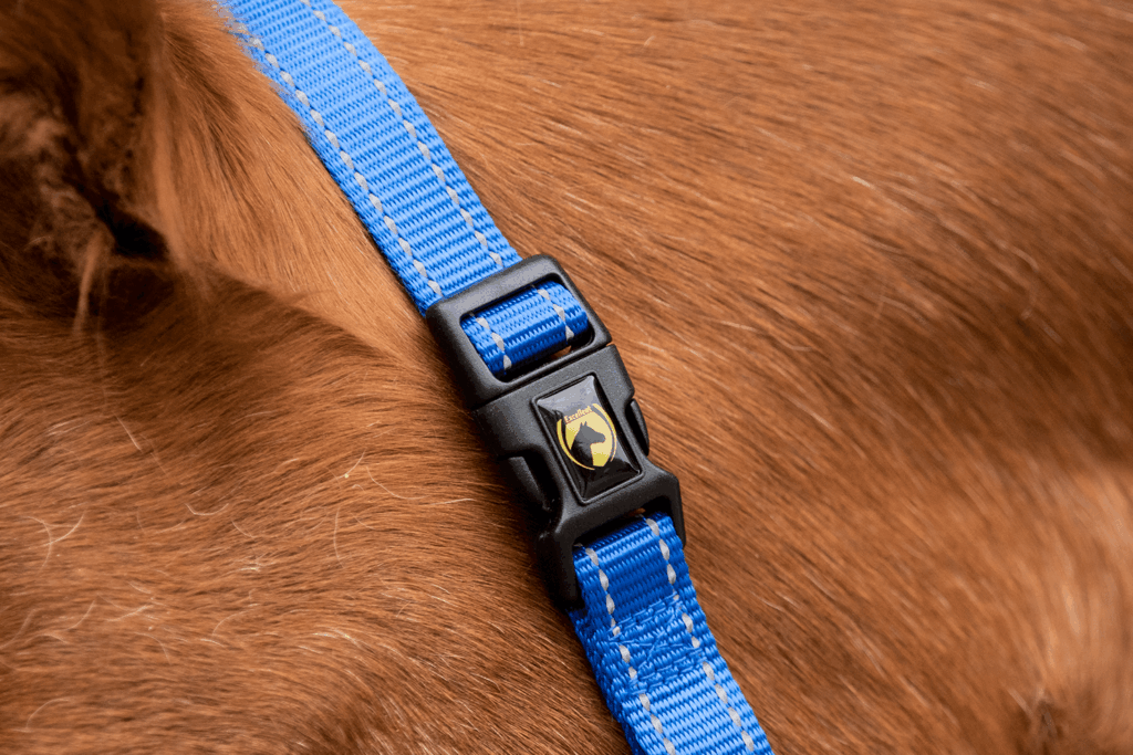 Excellent Essential Halster Blauw XS - Makkelijk verstelbaar en duurzaam - afbeelding 2