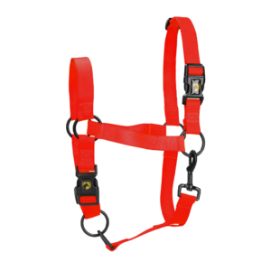 Excellent Essential Halster Rood M - Comfortabel en Verstelbaar Halster