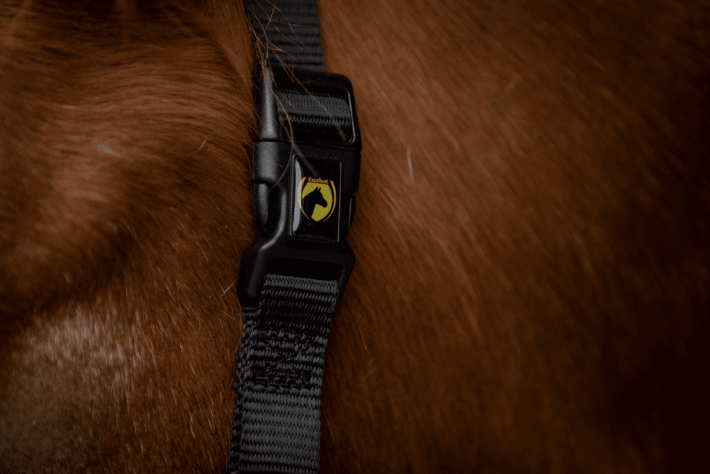 Excellent Halster Zwart XS - Veilig en gemakkelijk in gebruik - afbeelding 4