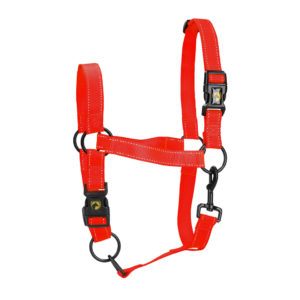 Excellent Halster Rood S - Veilig en Praktisch voor Paarden