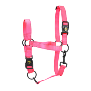 Excellent Halster Roze S - Veilig en gemakkelijk voor uw paard