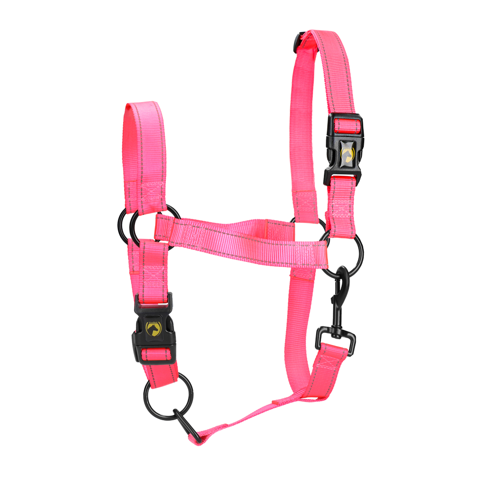 Excellent Halster Roze M - Veilig en gemakkelijk voor uw paard