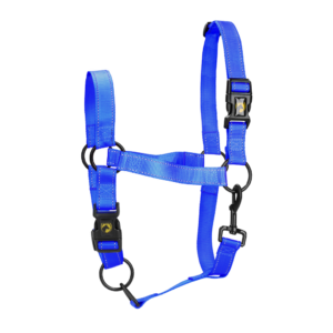 Excellent Halster Blauw XL - Veilig en Gemakkelijk in Gebruik